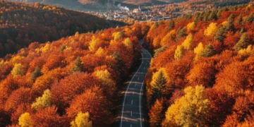Scenic autumn road winding through colorful forest and small town